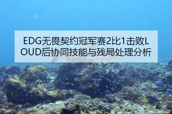 EDG无畏契约冠军赛2比1击败LOUD后协同技能与残局处理分析